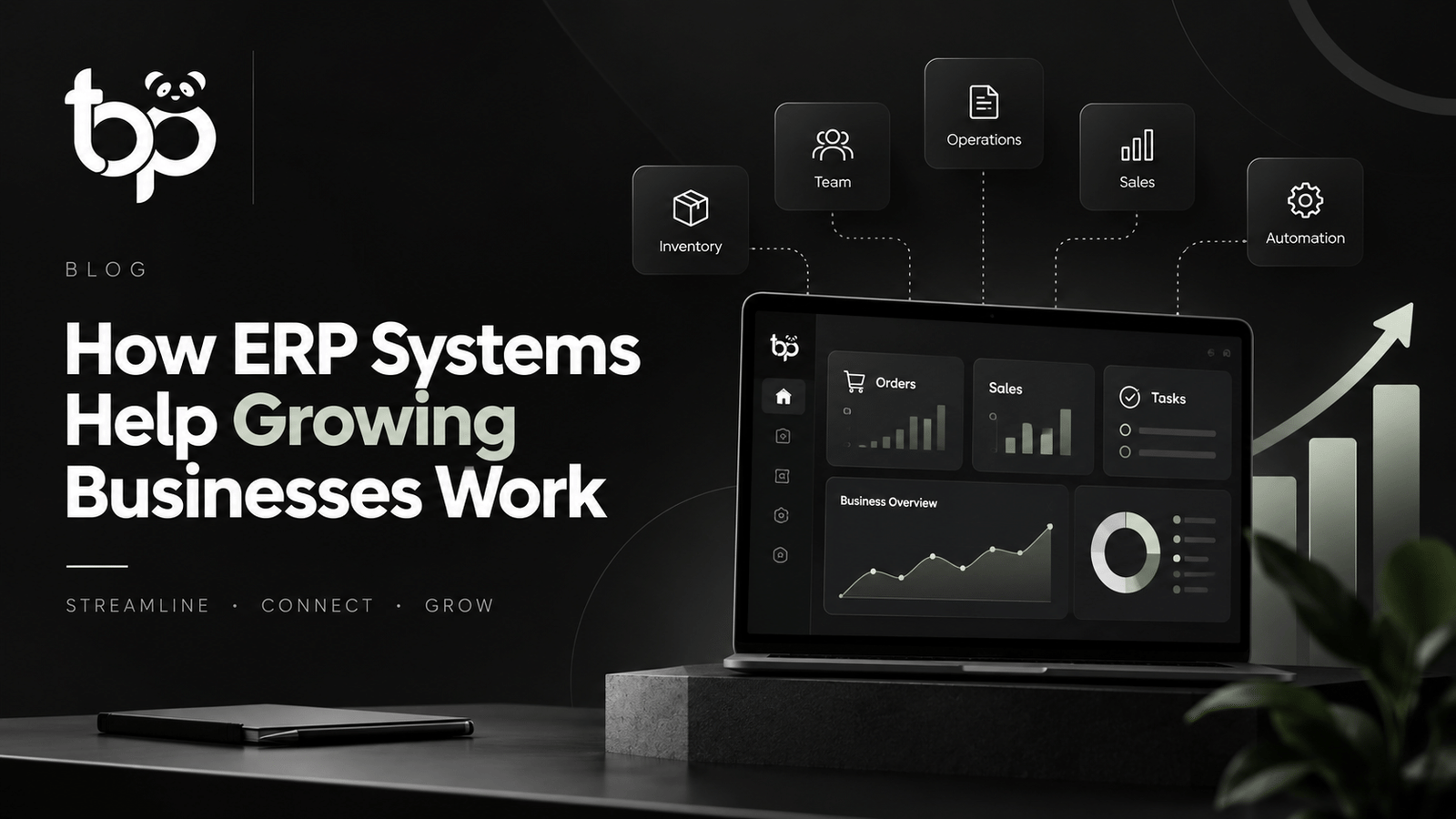How ERP Systems Help Growing Businesses Work